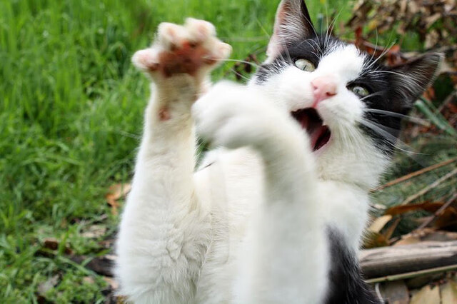 _初学者指南:如何快速提升网球技巧_,如何提高网球初学者网球技术