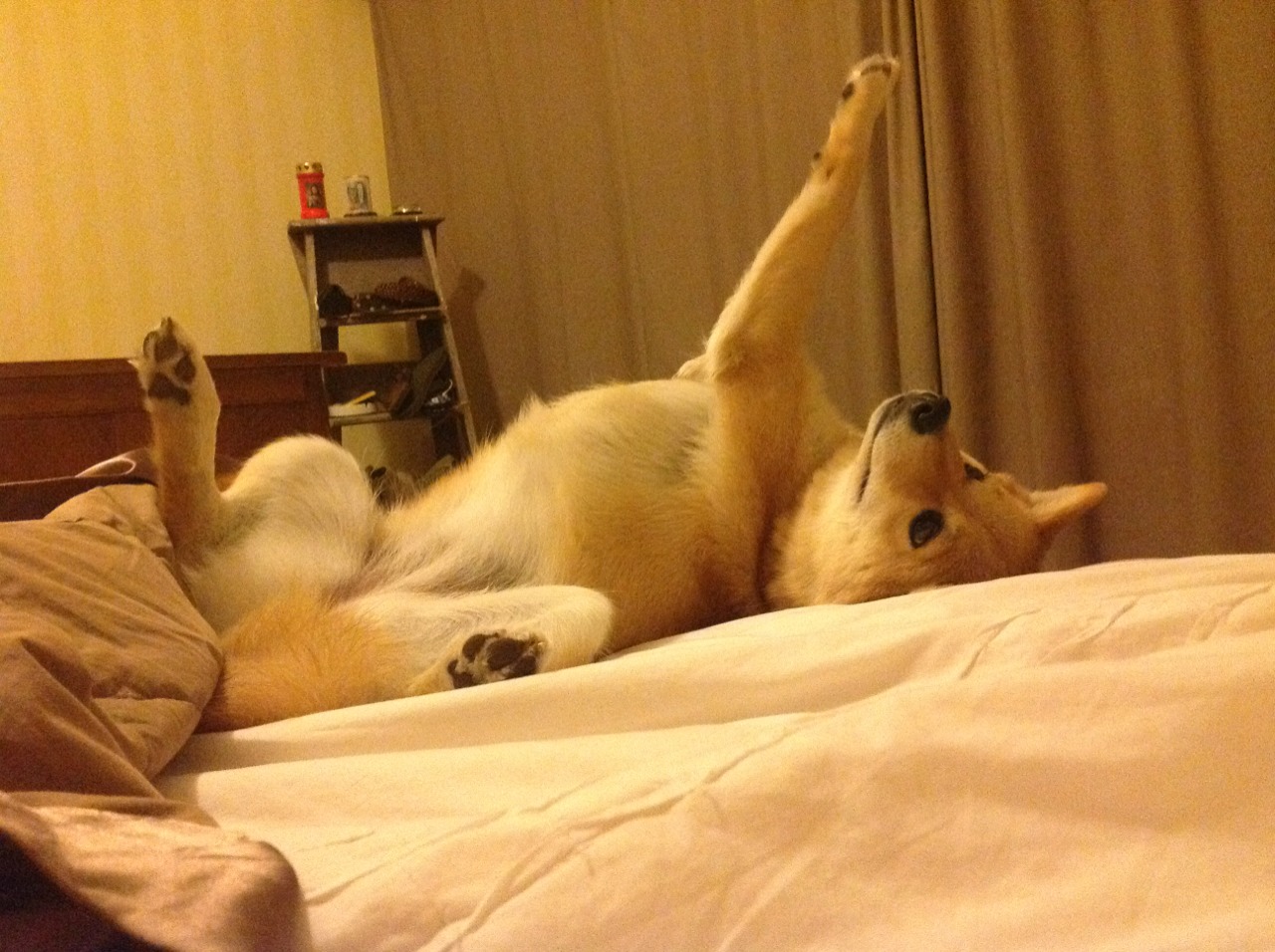 华体会在线-_极速冲浪：人工波浪场馆引领新潮流_，网上冲浪速度