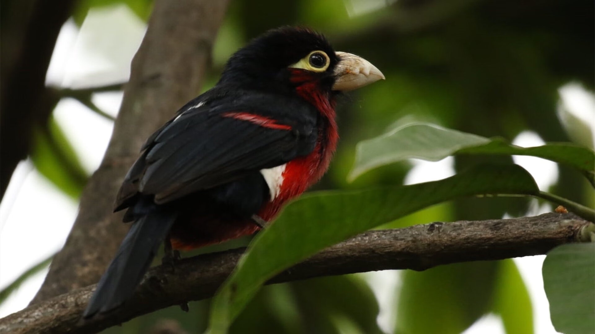 华体会hth平台-_青少年专项培训营：开启未来之门_，青少年培训班