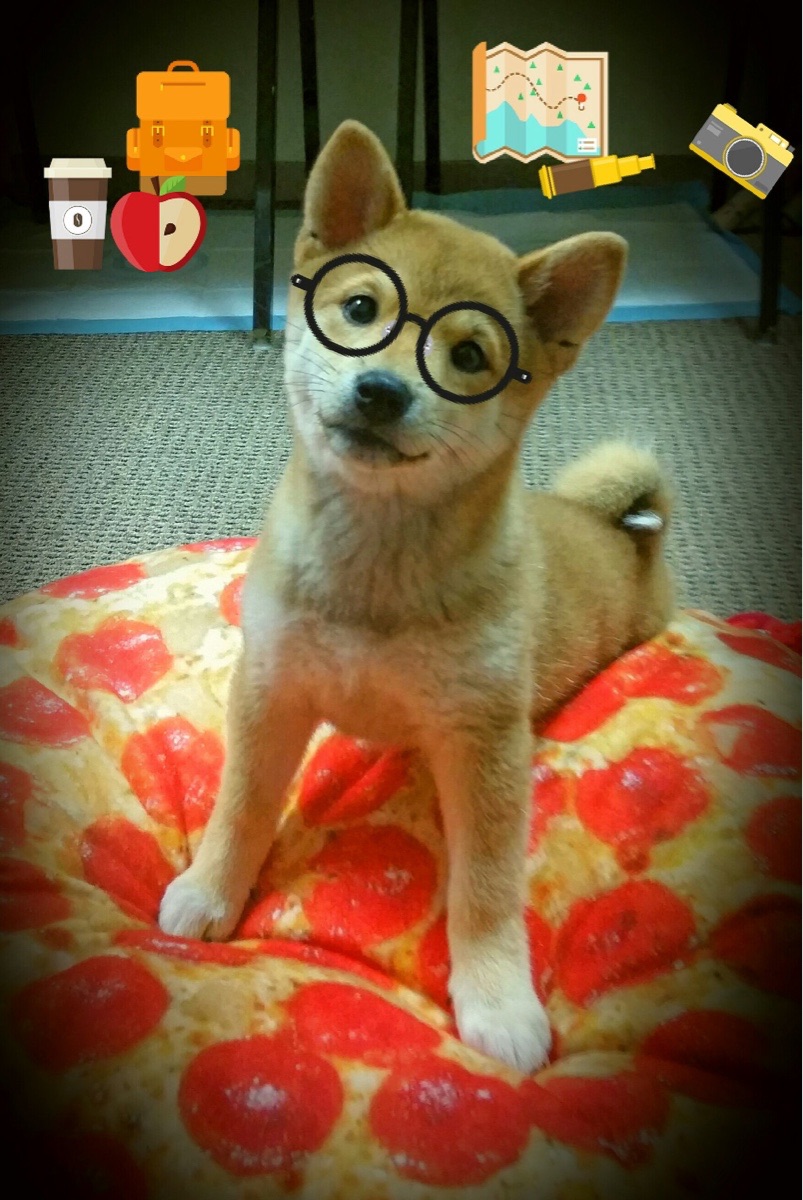 《电竞明星转型:从选手到解说再到教练的多路发展》,电竞名星