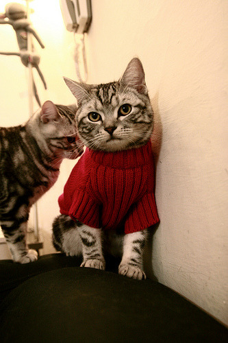 华体会hth官方网站登录-数字化云平台助推中国篮球数据分析与战略制定，中国篮球数据库