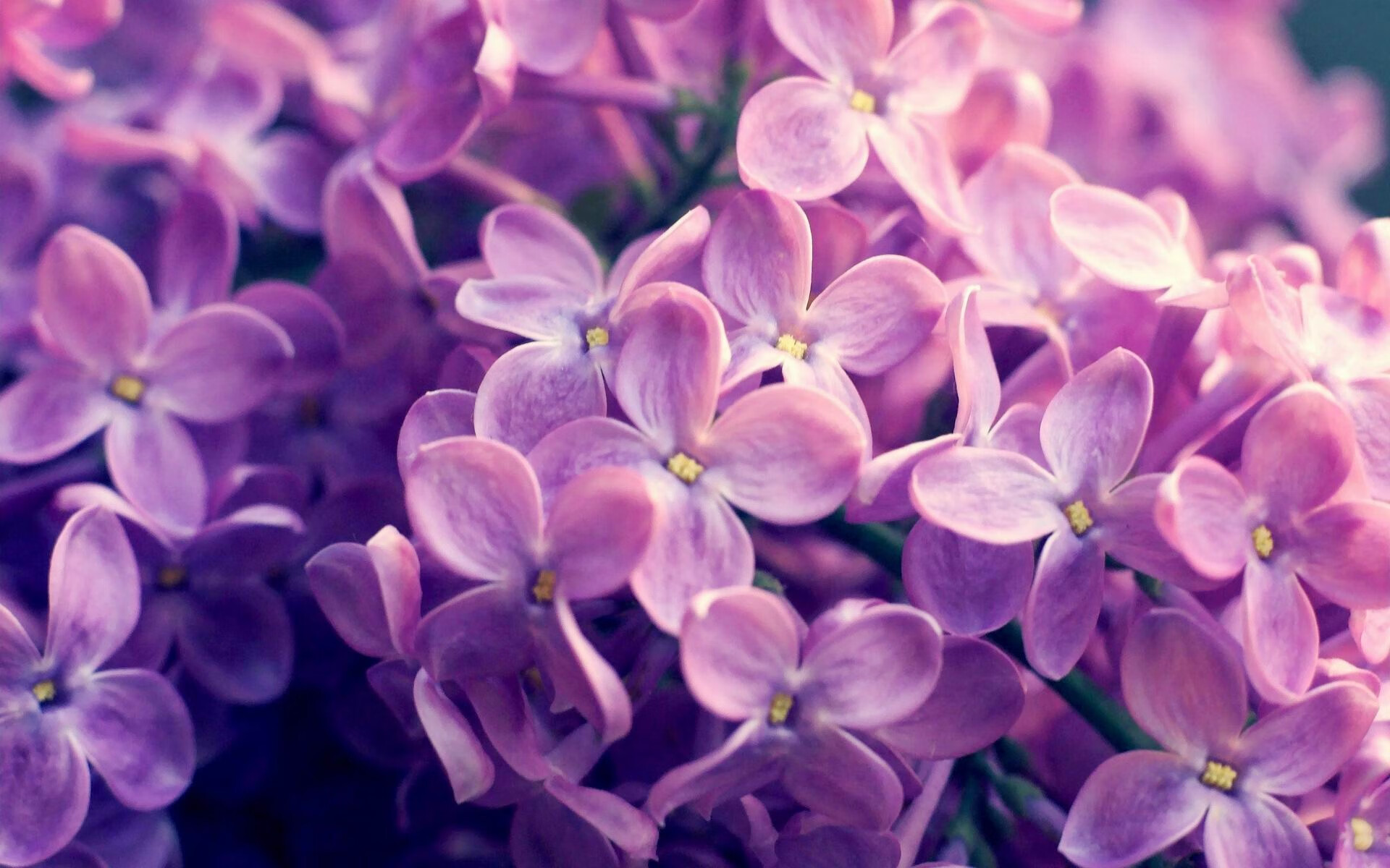 技术统计：助攻、篮板、命中率全线优于对手！，得分篮板助攻总和