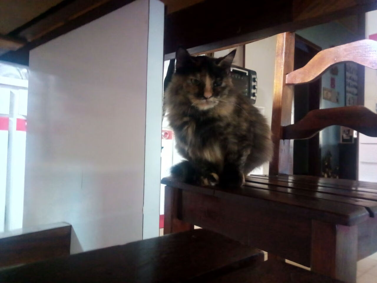 华体会hth-某队引入高科技训练设备，训练效率大幅提升，某队引入高科技训练设备,训练效率大幅提升