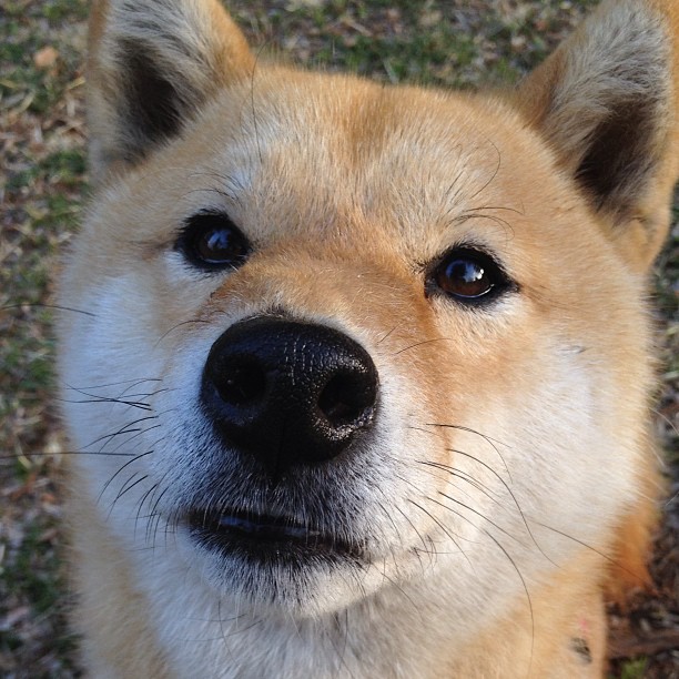 华体会登录最新地址-未来联盟：虚拟赛事、AI裁判引领新纪元，西安未来联盟信息技术服务有限公司