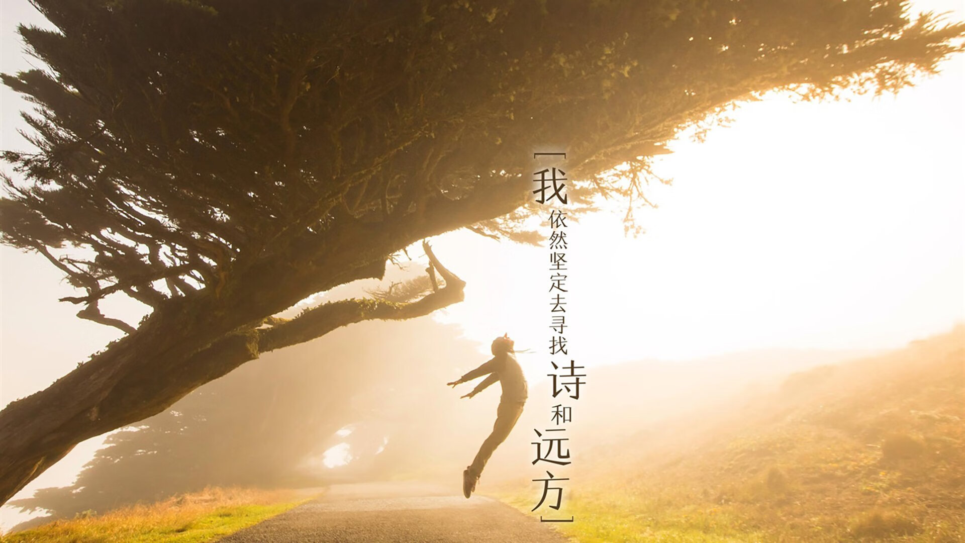 球迷的全球狂欢夜:欧冠赛场的美丽风景线,欧冠全明星赛