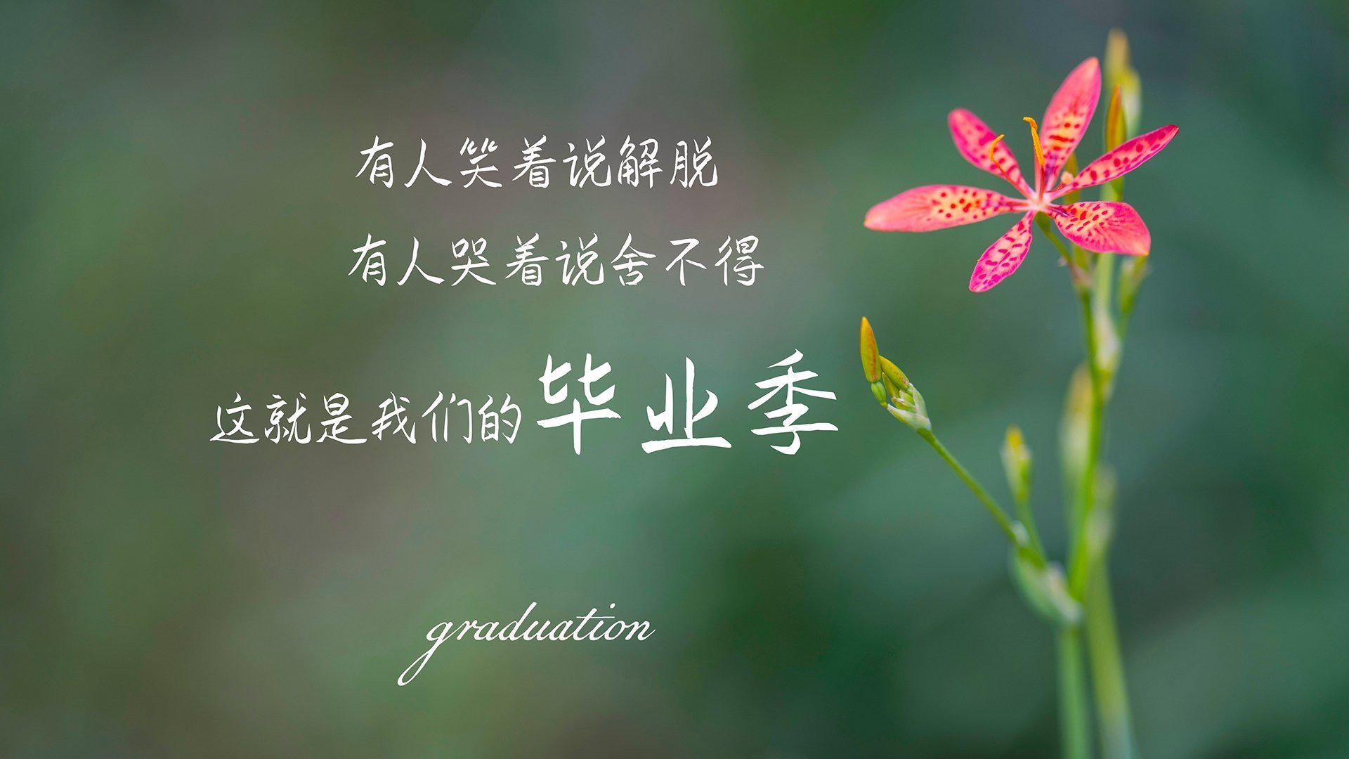 英格兰举办篮球明星见面会，英格兰篮球运动员