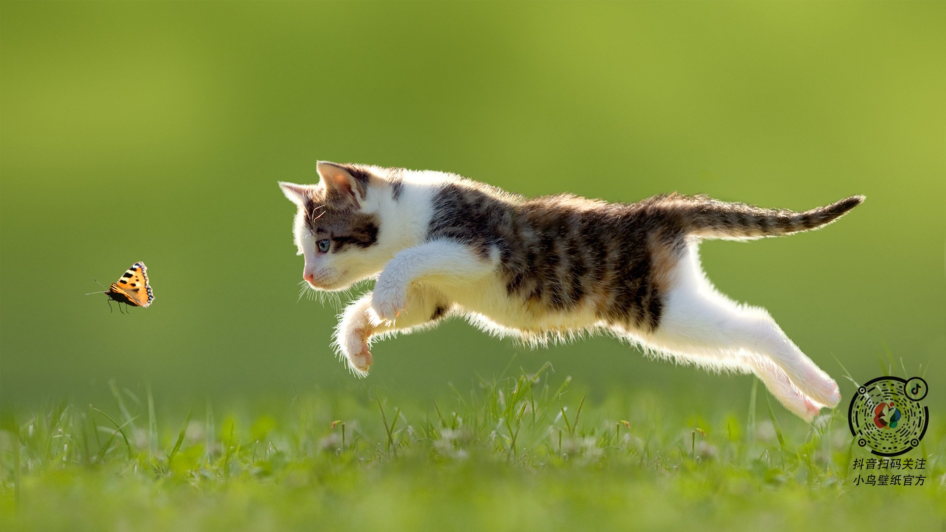 葡萄牙男足在预选赛中失去奥运资格,葡萄牙男足没进东京奥运会