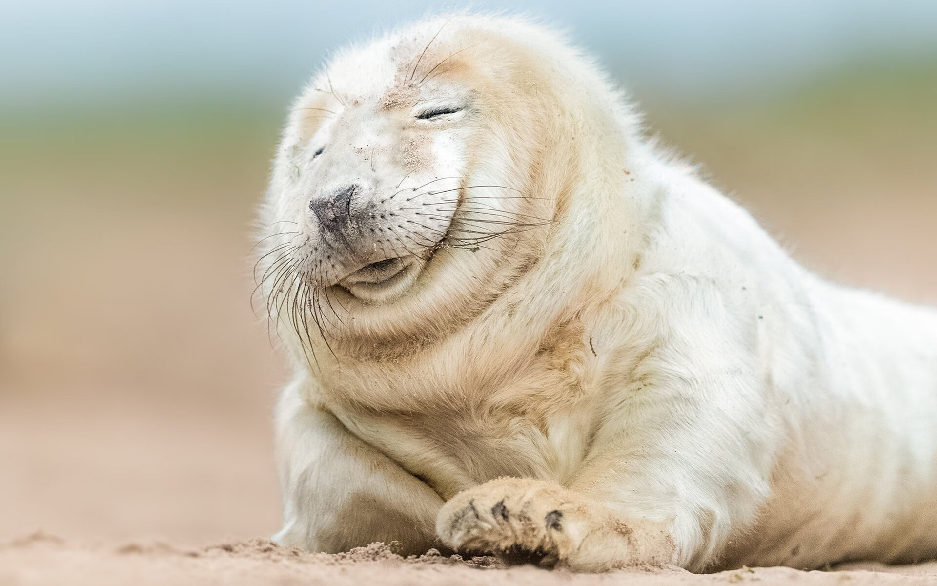 华体会hth登录地址-青少年“学习+运动”结合的“未来学院”青训项目在全国推广，青少年运动教育