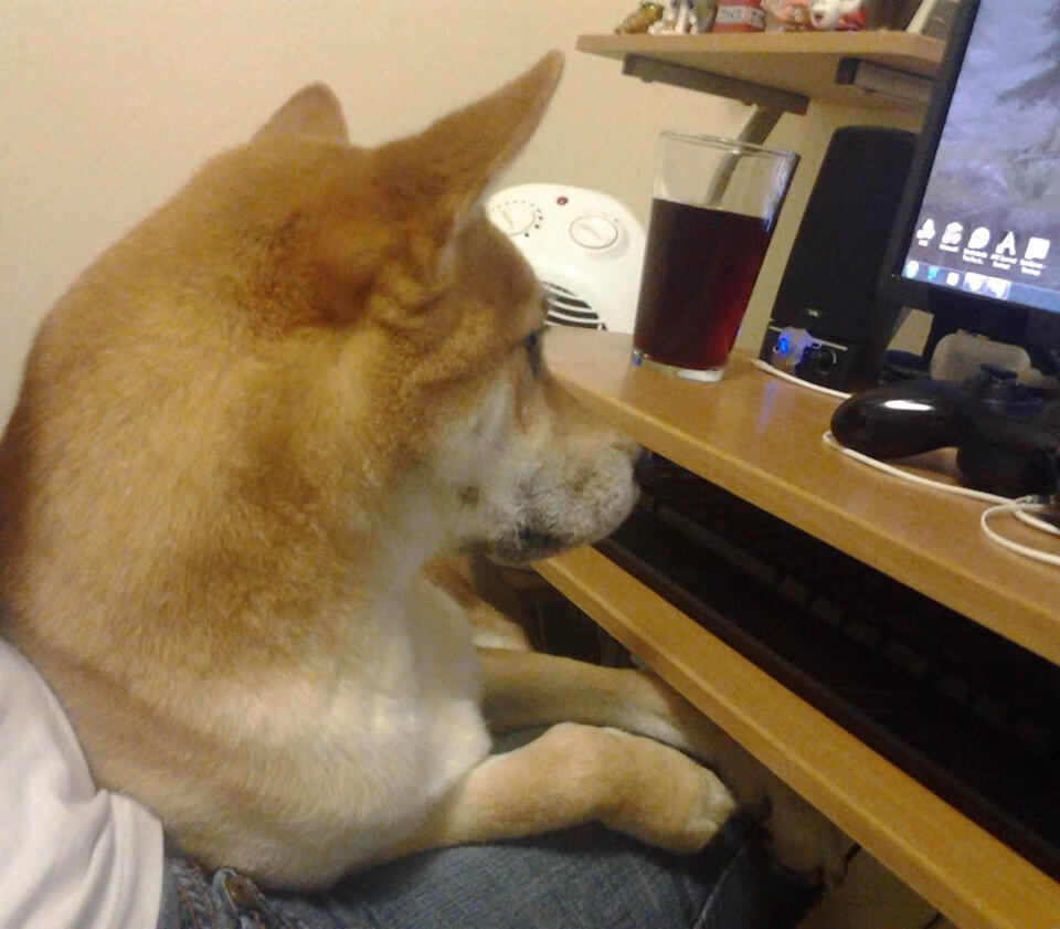 中超新赛季首轮比赛精彩回顾,中超联赛首轮