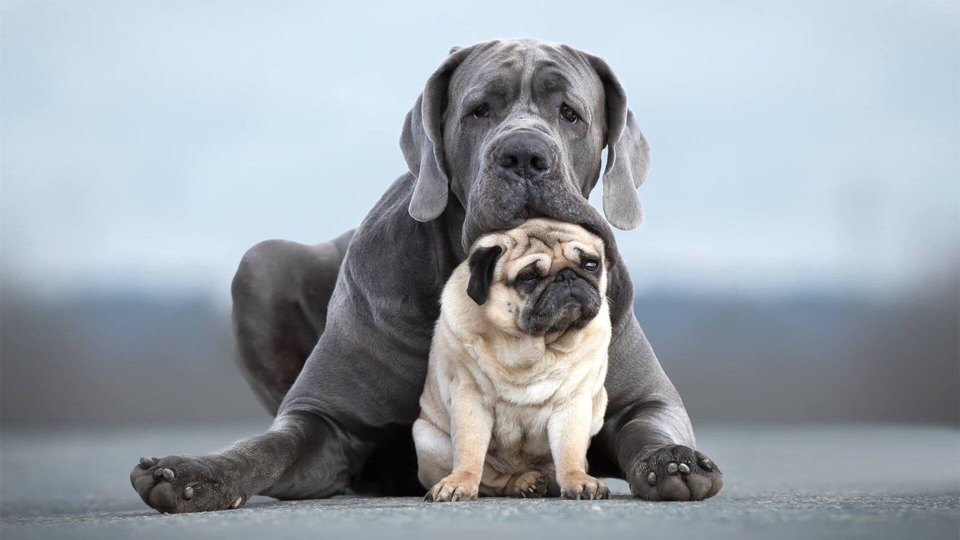 卡尔斯鲁厄困境难挣脱，强敌堵路难前行，卡尔斯鲁厄旅游攻略