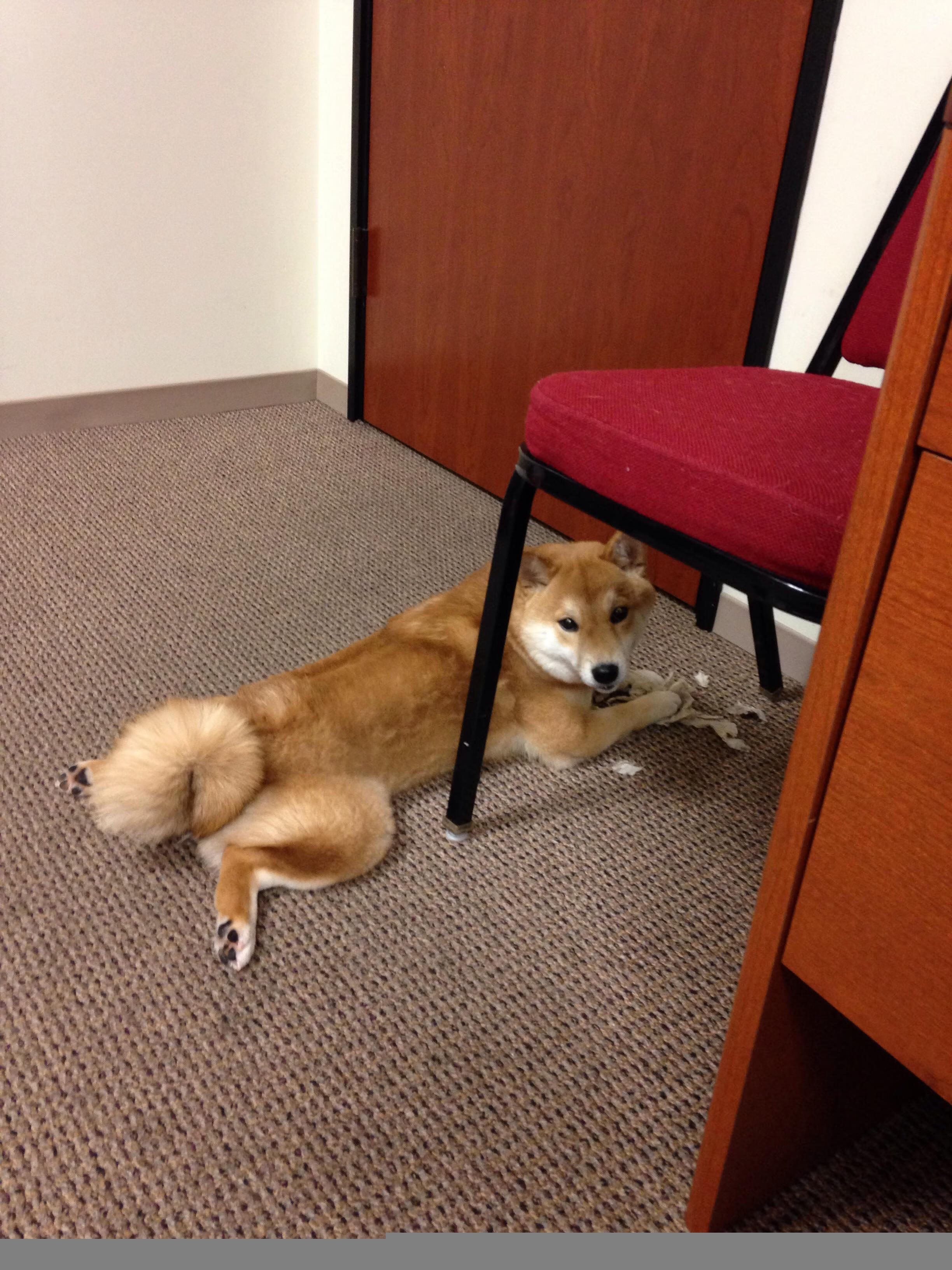 华体会hth娱乐平台-对手神勇表现，主场作战岌岌可危，对手球队