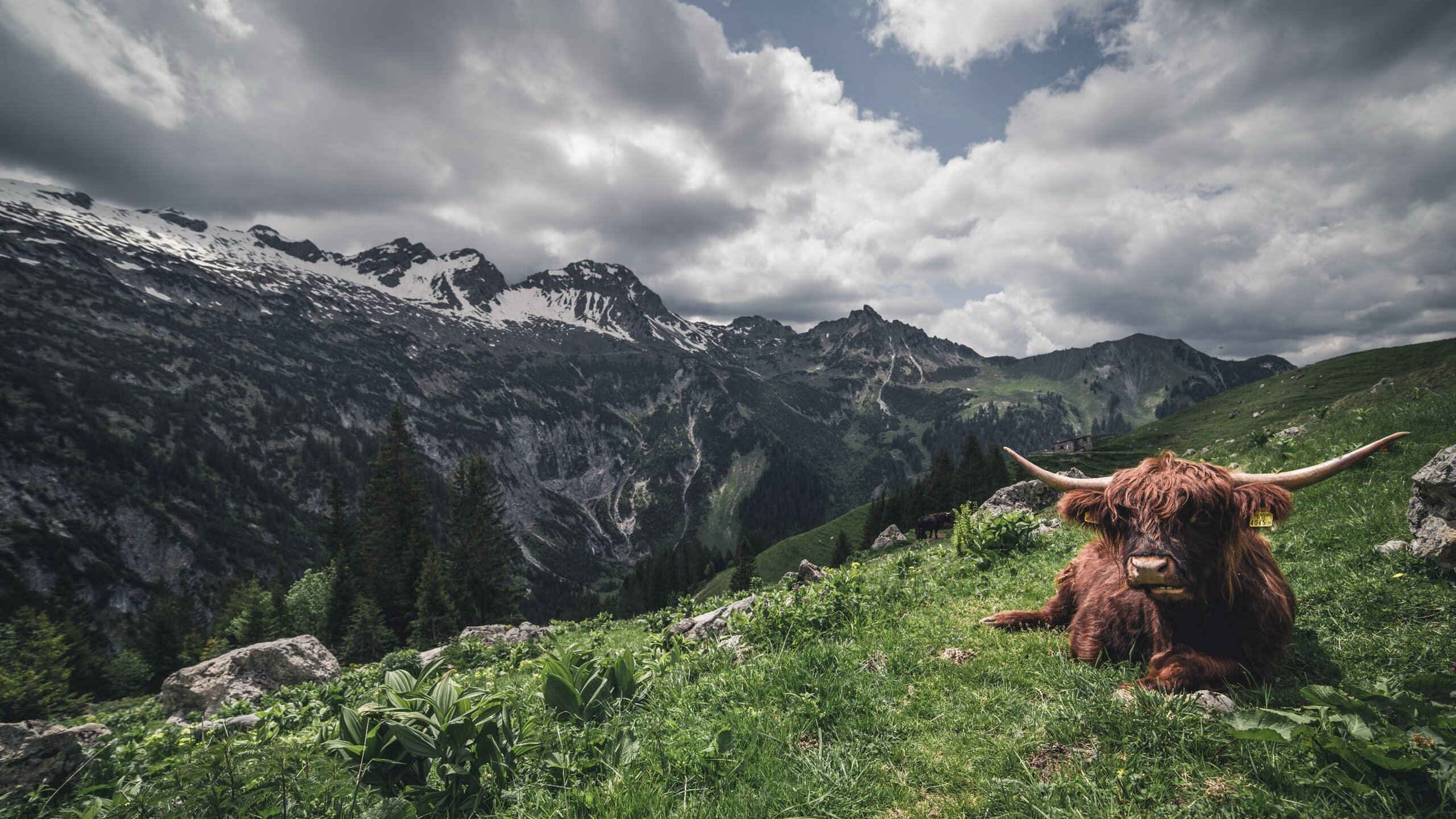 华体会hth平台下载-斯洛伐克队大获成功！战胜强敌实现逆袭！，斯洛伐克国家队战绩