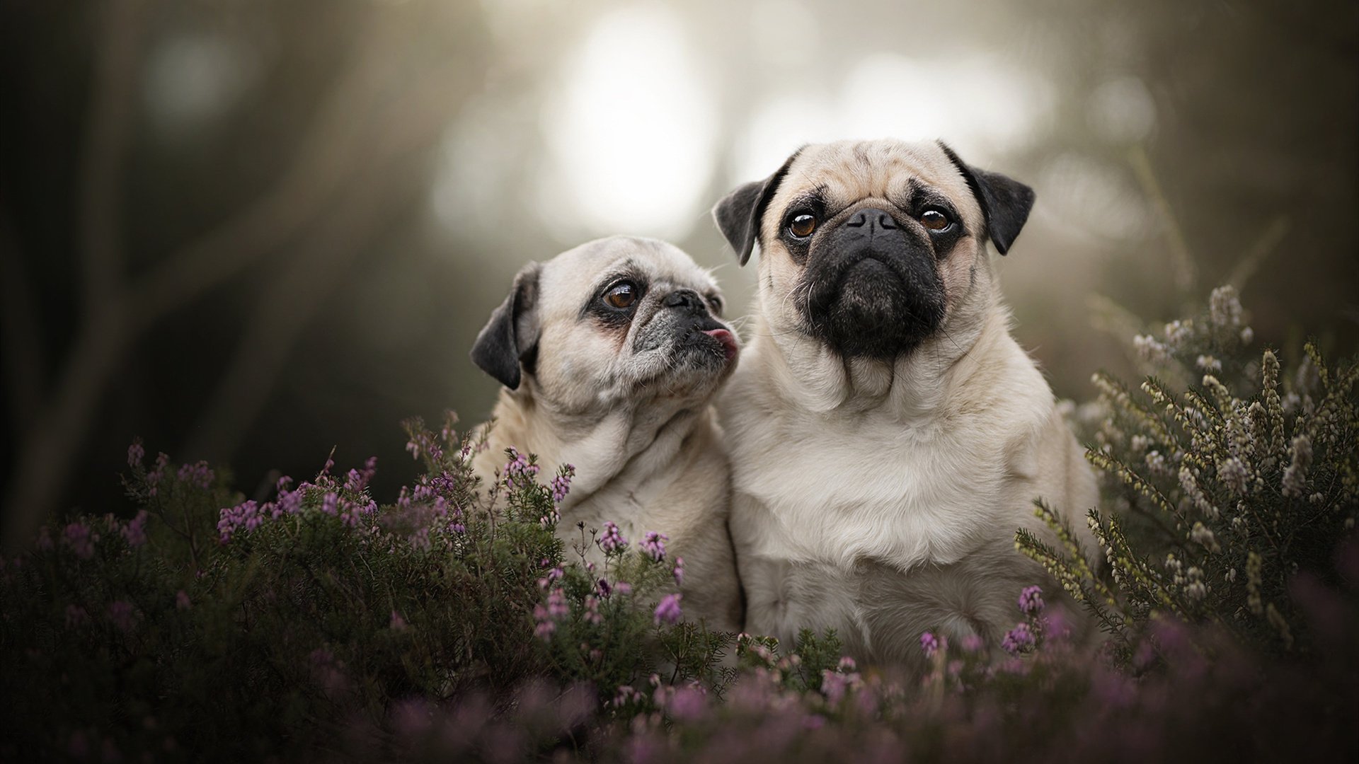 摩洛哥队在巴黎奥运会男足比赛中多次通过二次进攻得分,摩洛哥著名足球运动员