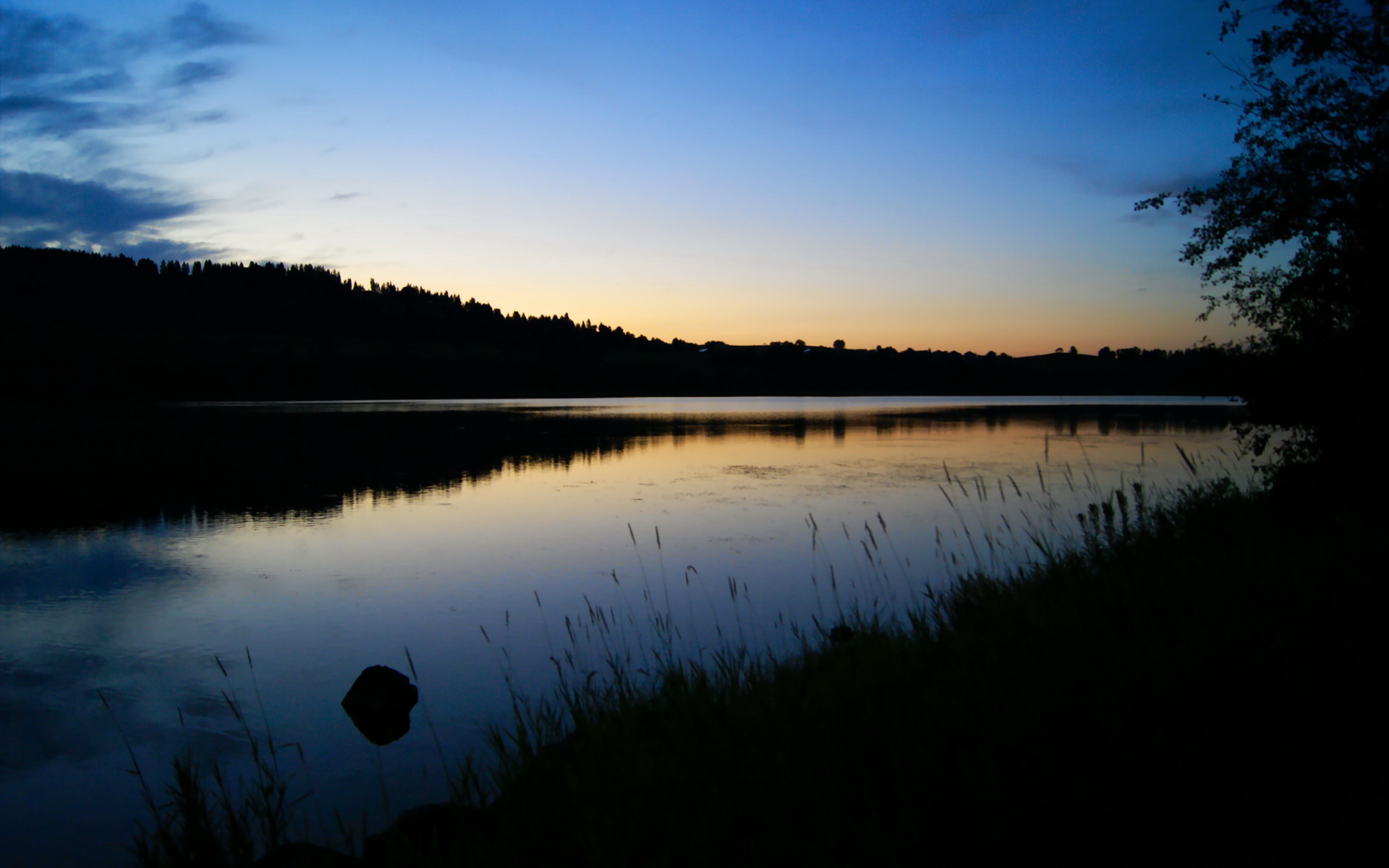 曼城轻取多特蒙德:高效攻防全面胜出,曼城多特蒙德集锦