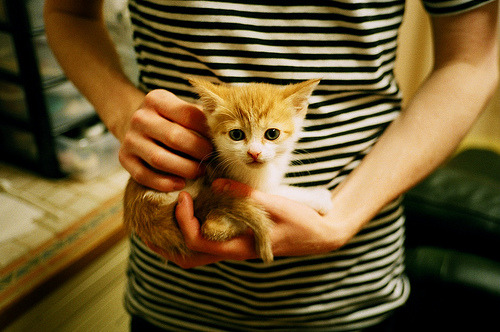 曼联主场小胜富勒姆,迎来赛季首胜,英超曼联对富勒姆