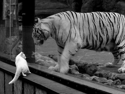 华体会hthapp注册-是否应加强对假摔行为的惩罚，是否应加强对假摔行为的惩罚呢