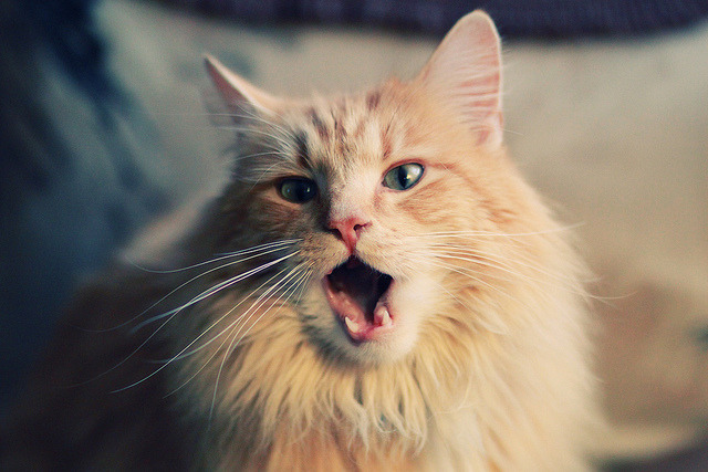 华体会hth娱乐平台-青岛队奋力反击，成功抵挡对手攻势，青岛队近况