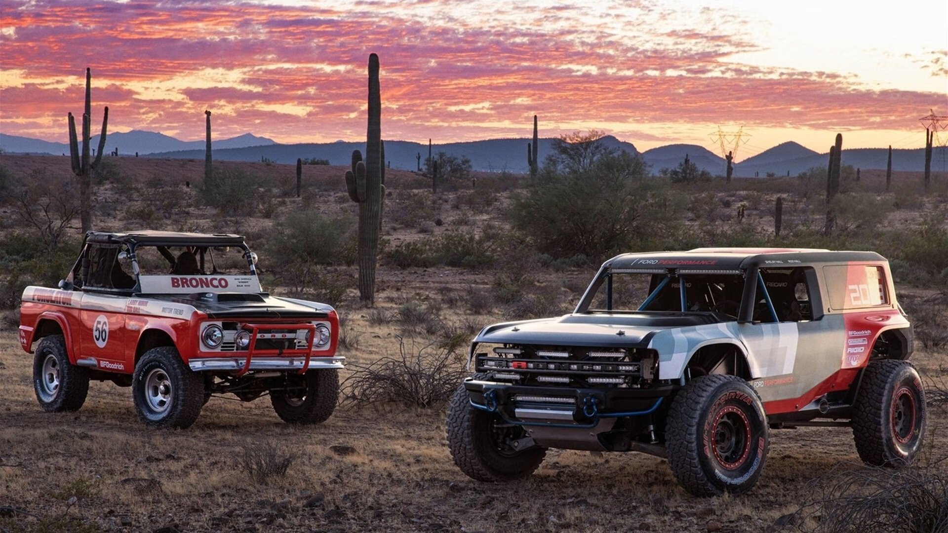 中国篮球青训体系发展现状及问题分析，中国篮球青训队