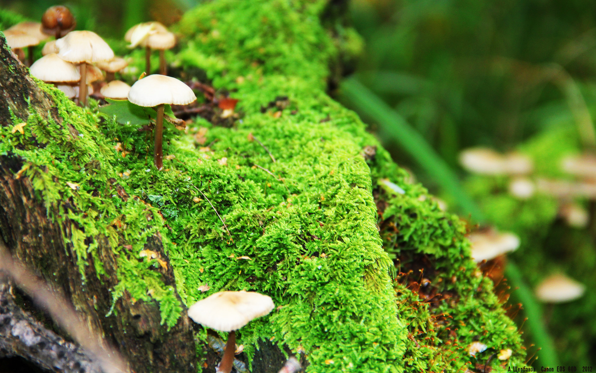 中国男篮全员集结 备战关键比赛,中国男篮再集结