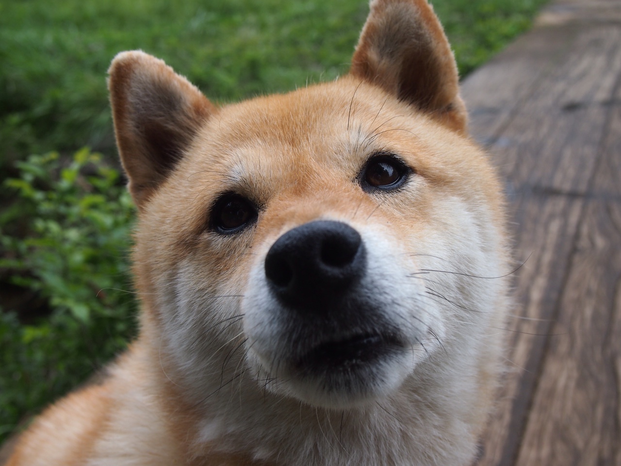 保守阵型防守固守是否能经受强队持续冲击,稳固防守