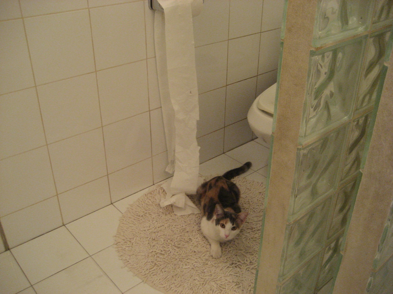 华体会hth官方网站下载-76人推出官方训练纪录展示球员真实训练状态，76人阵