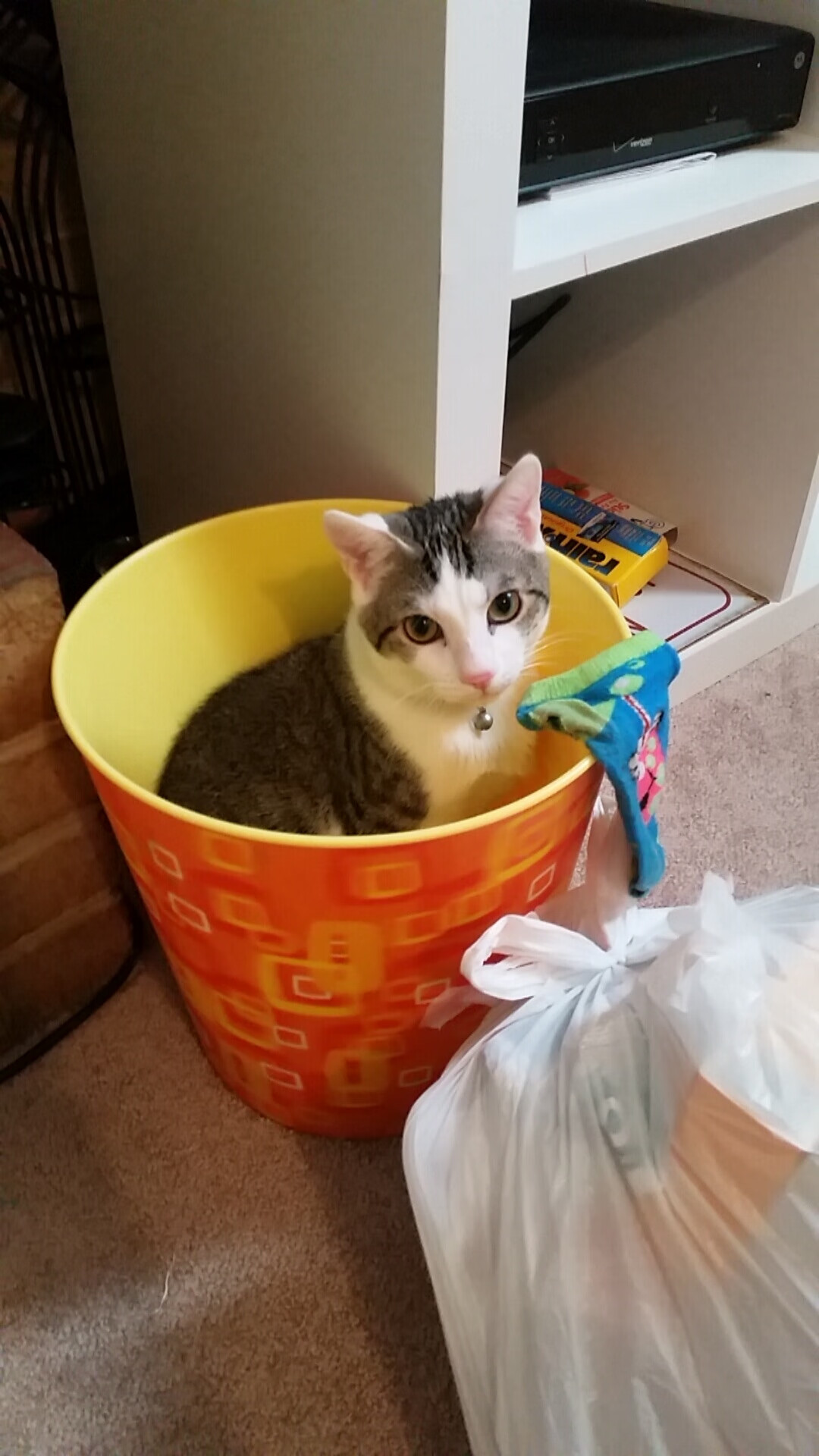 华体会hth登录-丁俊晖完成绝杀瞬间斯诺克世锦赛，丁俊晖斯诺克世锦赛赛程