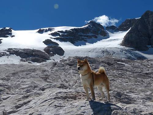 南非春bok队的反弹，能否挑战全黑队的统治地位，南非春苗行动什么时候开始