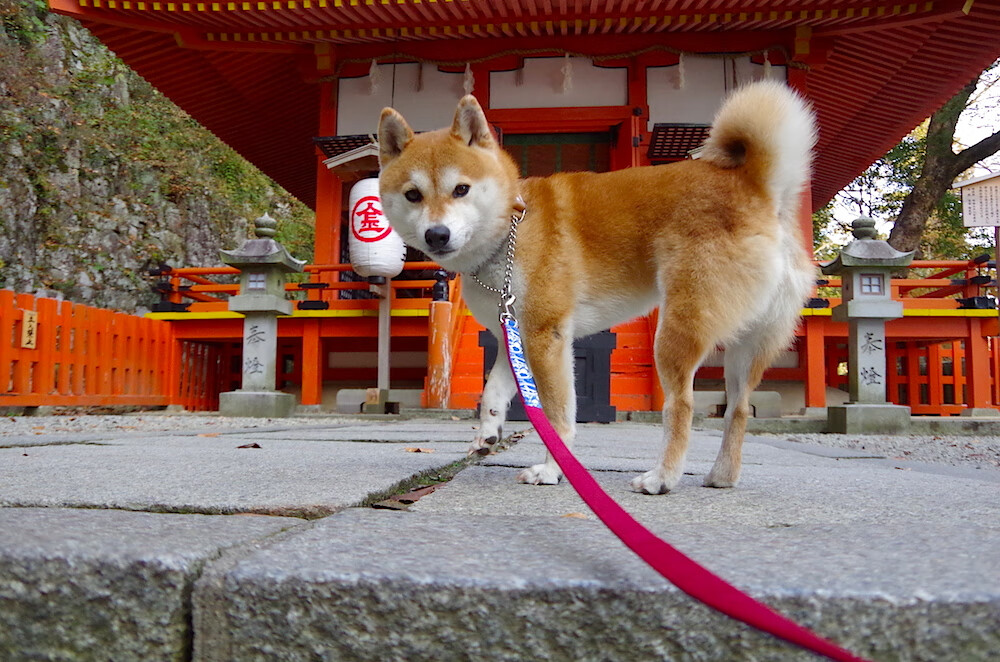 多地同时举办青少年邀请赛推动区域体育交流与人才流动，全国青少年体验活动