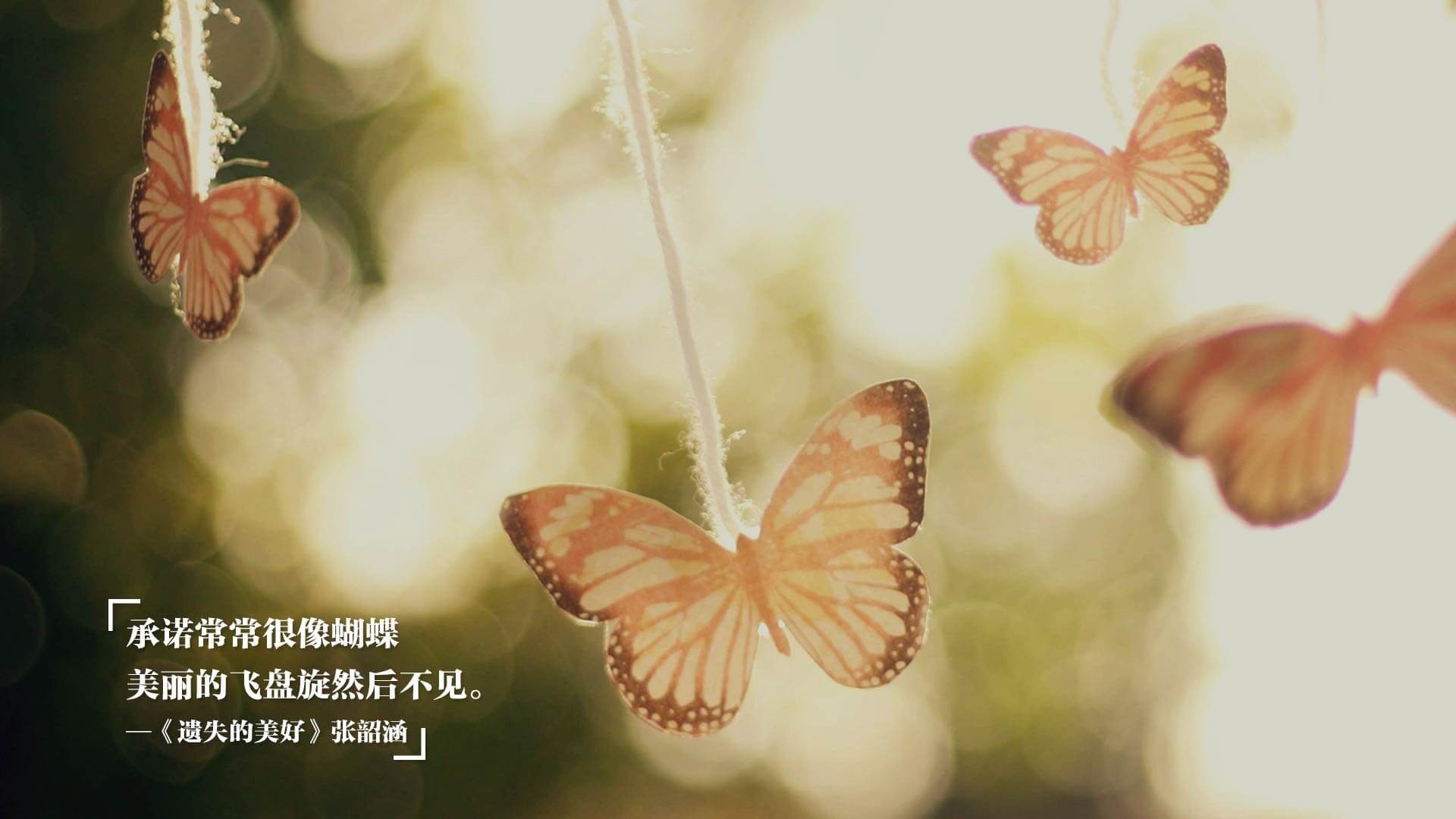 华体会hth平台下载-林丹收获全场最高分全运会羽毛球，林丹羽毛球大赛集锦