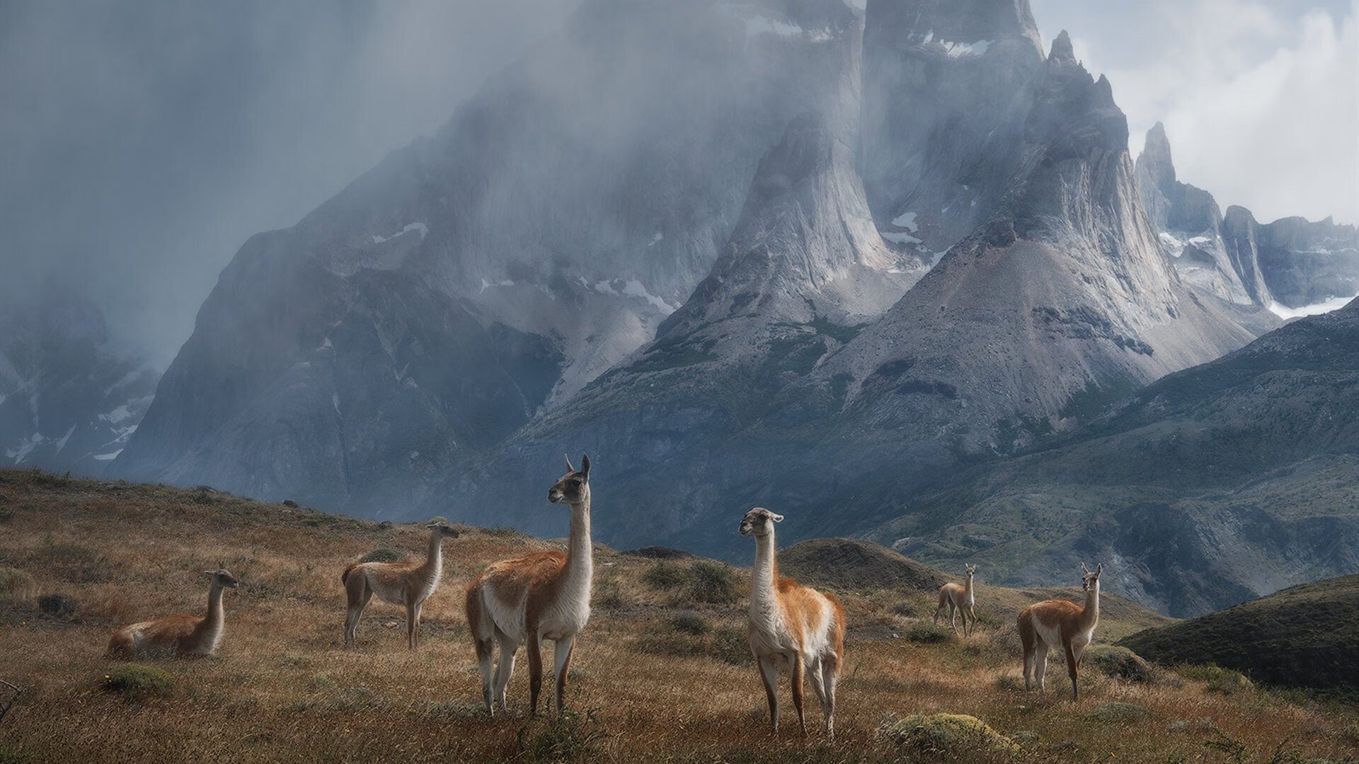 自由泳预赛吉尔吉斯斯坦选手顺利晋级，自由泳决赛视频